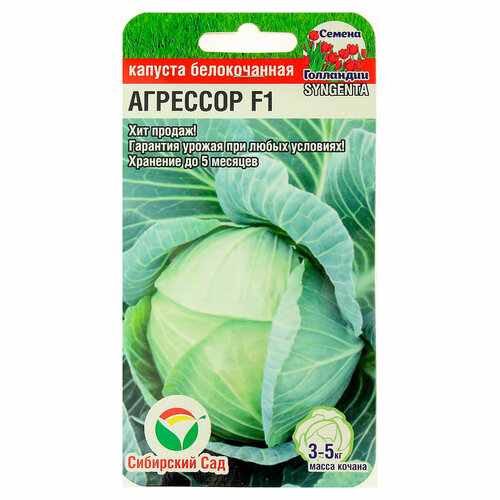 ������ ������ ������ ������� ������������ �������� F1 10�� ��� ��� ����