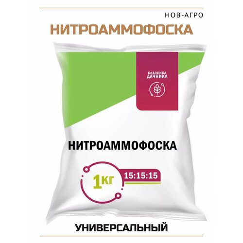 ������ ������ �������������� 1�� ����