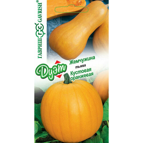 ������ ������ ������ ����� ���������, ���������+�������� ��������� 2� (������) ���� ����