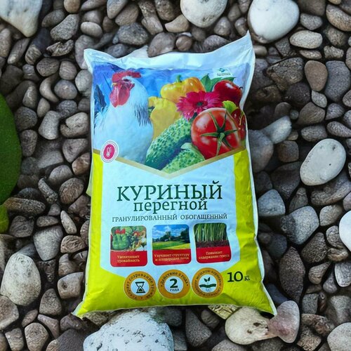 ������ ������ ��������� ������� �������� 10��. ������ ����������. ����