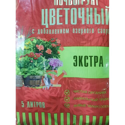 ������ ������ ����� ��� ������ ����� ����� � ����������, 5 � ����