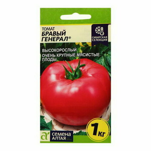 ������ ������ ������ ����� 