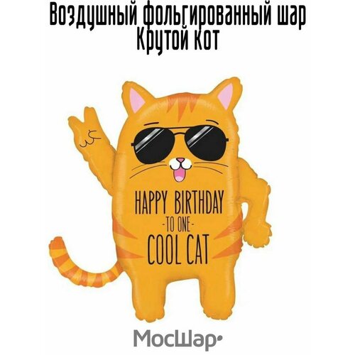 ������ ������ ��������� ��� �������������� ������ ���, 84 ��, ������ ����