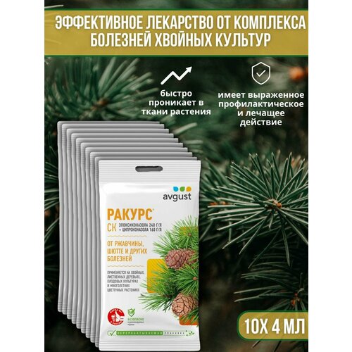 ������ ������ �������� �� �������� ������� ��������, ��������� ��� ������ � �����, ��������� ������ 4 �� 10 �� ����