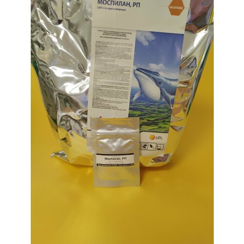 ������ ������ ���������� �������� 10 �� ����