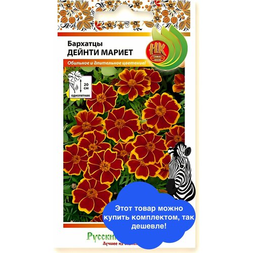 ������ ������ ����� �������� ������ ������ ����