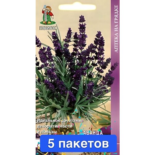 ������ ������ ������ ������ � ��������� ����� 