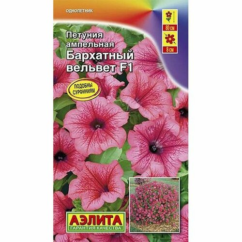 ������ ������ ������ ������� ��������� ������� F1 ���������, ����������, (������) 5�� ����