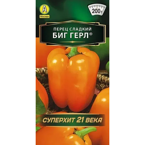 ������ ������ ������ ����� ������� ��� ���� ����