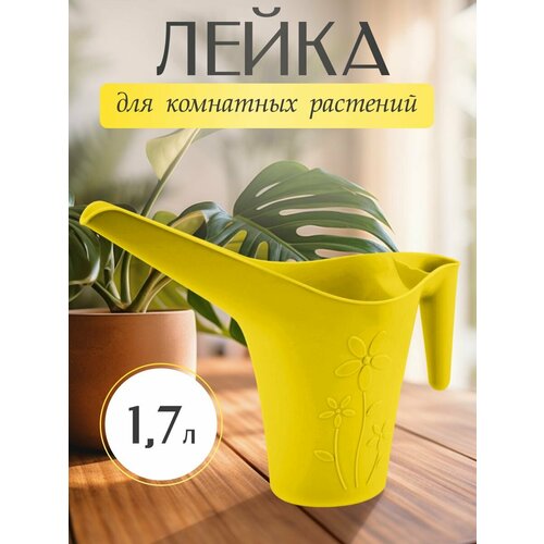 ������ ������ ����� ��� ��������� �������� 1,7 �. ������ ����