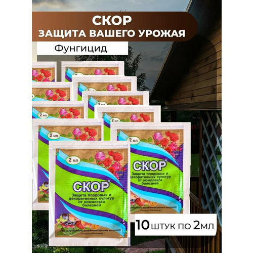 ������ ������ �������� ��� ������ �������� �� �������� ����, 10�� �� 2 �� ����