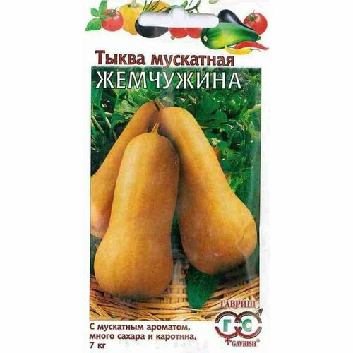 ������ ������ ������ ����� ��������� ���������, ������������, (������) 1� ����