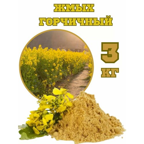 ������ ������ ���� ��������� 3�� ����