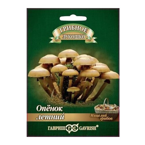 ������ ������ ������� ������ ������ ������� ������� ������ ������ �� ��������� ������� 12 ��. ����