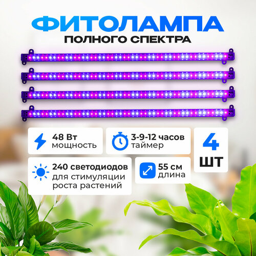 ������ ������ ��������� ��� �������� � ������ 4 ��, 48 ��. ����