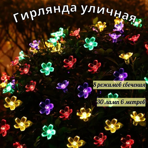 ������ ������ ������������ �������� �� ��������� ������� 30 ���� 6,5 ����� ����