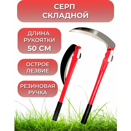 ������ ������ ���� �������� ������ ����