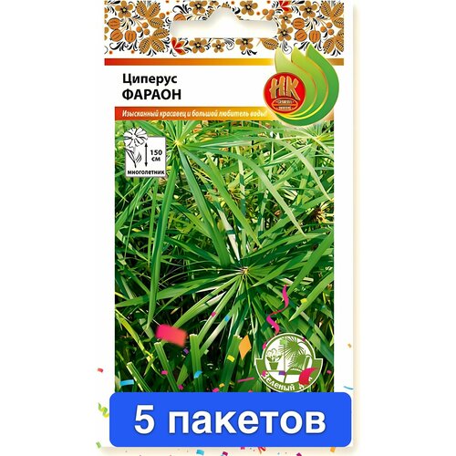 ������ ������ ����� ������� ������ 5 ������� ����