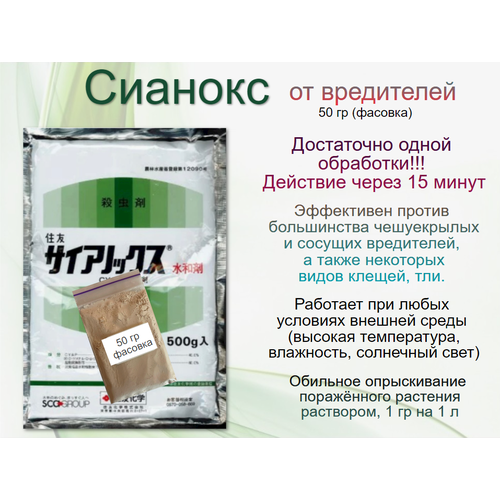 ������ ������ ������� ������ ������������������� ���������� 50�� (������ �������) ����