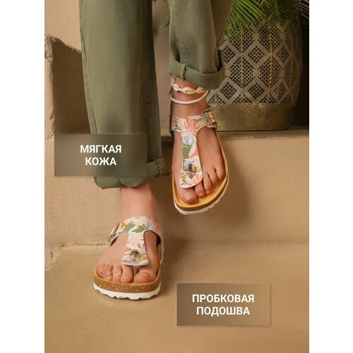 ������ ������ ������� �������������� �������� Ortmann YORK, ���. 7.03.2, ������ 38 ����