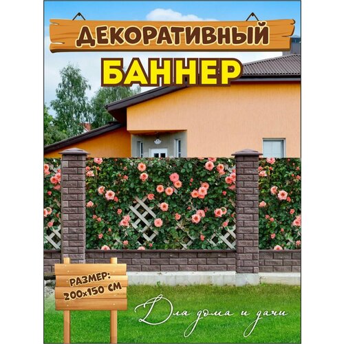 ������ ������ ������������ ������ ��� ������, ������� ����