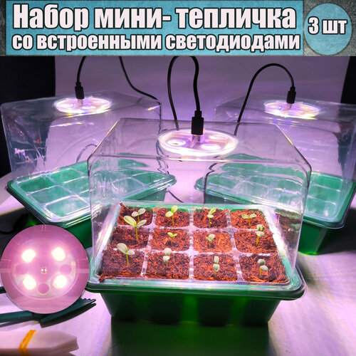 ������ ������ ����� ����-�������� ��� ������� �� ����������� ������������, 3 �� ����