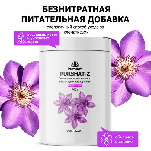 ������ ������ ������-Z ������������ ����������� ������� ��� ���������� 700 � ����