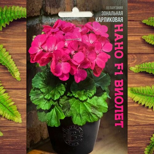 ������ ������ ������ ������ ��� ���� � ���� ���������� ��������� F1 ������ ����