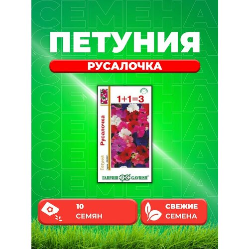 ������ ������ ������� ��������� ���������, �����, 10�� ����� 1+1 ����