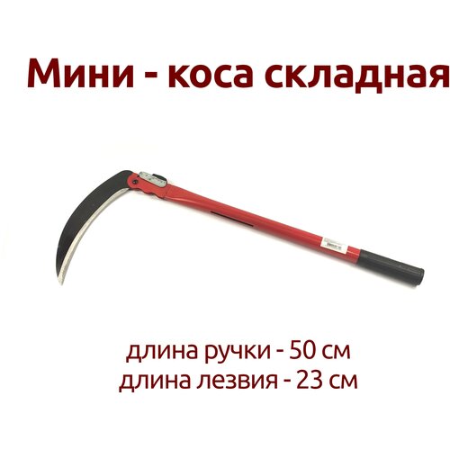 ������ ������ ����-���� 50�� �������� ����