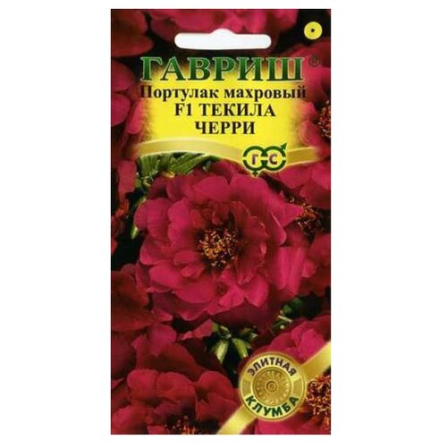 ������ ������ ������ ������ ������� ������ �������� F1 ������ ����� 5 ��. ����