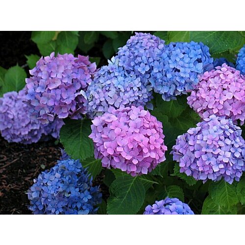 ������ ������ ������� ��������� ������������� ������� ( 2 ���� , �2 , 10-20 �� ) ����