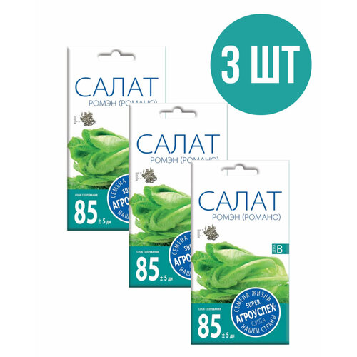 ������ ������ ������ ������ ����� (������), 3 ����� ����