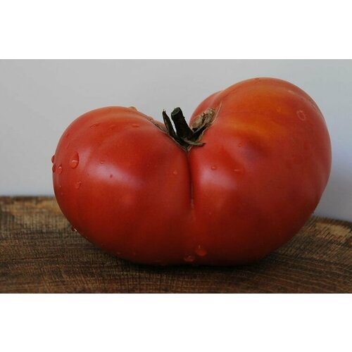 ������ ������ ������ ����� ������������ ��������� 20 ��. ����