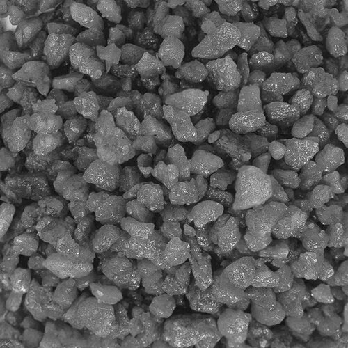 ������ ������ ����������� ����� ��� ��������, ����������� � ��������, Zoo One, ��������� ��������, 