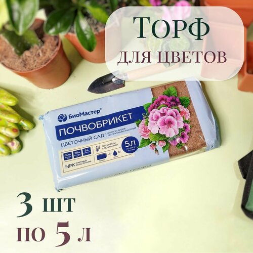 ������ ������ ����������� / ����� ��� ������������ �������� 15 � (3 �� �� 5 �) ����