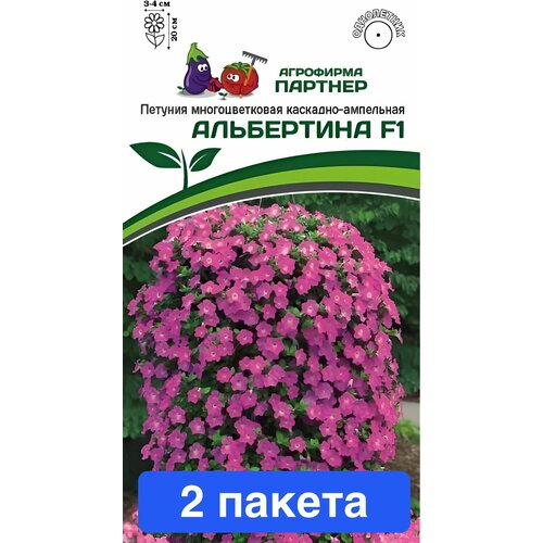 ������ ������ ����� ������� ������ ���������� F1 2 ������ ����