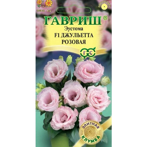 ������ ������ ������ ������� ��������� ������� F1 ���������� 4�� ��� 25�� (������) ������� ������ �21 ����