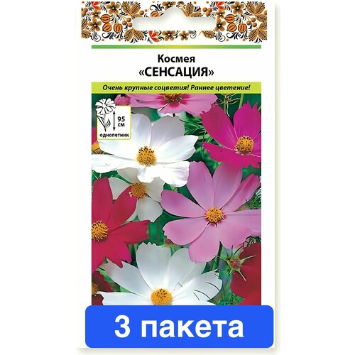 ������ ������ ����� ������ �������� 3 ������ ����