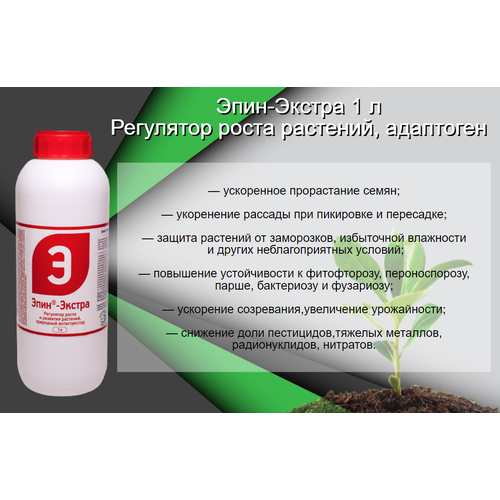 ������ ������ ����-������ 1 � ��������� ����� �������� ��������� ����