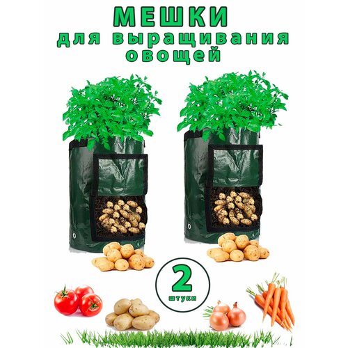 ������ ������ ����� ��� ������� ������ 2 �� ����