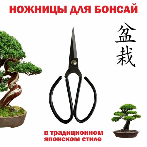 ������ ������ ������� ��� ������ � ������������ �������� ����� ����