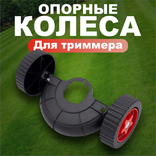 ������ ������ ������� ������ ��� �������� ��� ����� FOLISO ����