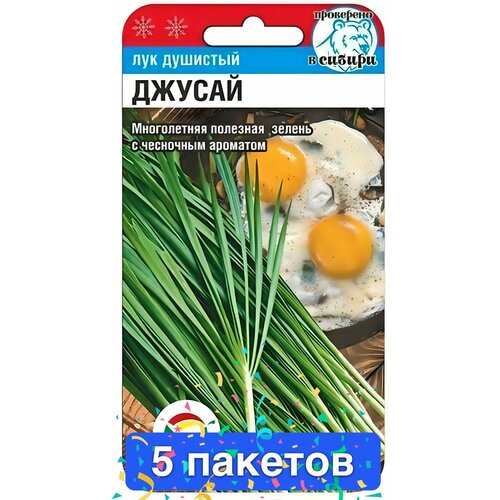 ������ ������ ������ ������ ��������� ��� 