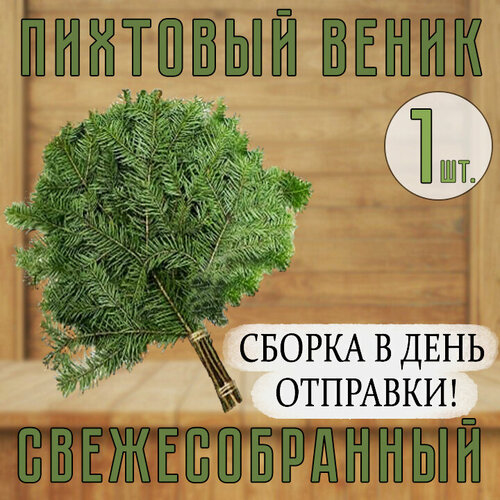 ������ ������ ����� �������� �������������� ��� ���� 1��. ����