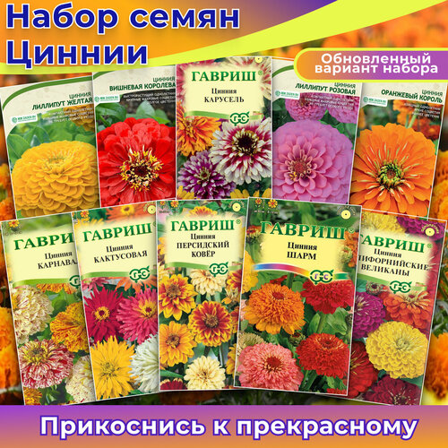 ������ ������ ������ 