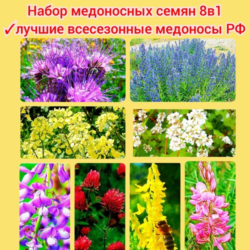 ������ ������ ����� ���������� ����� 8�1 (1600 ��) �������� ������� ����� ������ ��������� ������ ������� ������� ������� ����