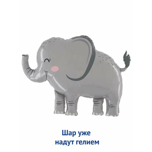 ������ ������ ��������� ��� � ������ �������������� ������ ������ ���� ����