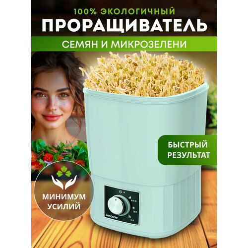 ������ ������ ������������� ����� ����������� �������������� ����