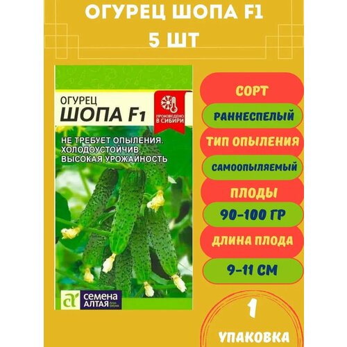 ������ ������ ������ ������ ���� F1, 5 ����� 1 �������� ����